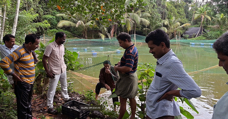 The technology of Live fish marketing: Precision harvesting demonstrated on ICAR Foundation day